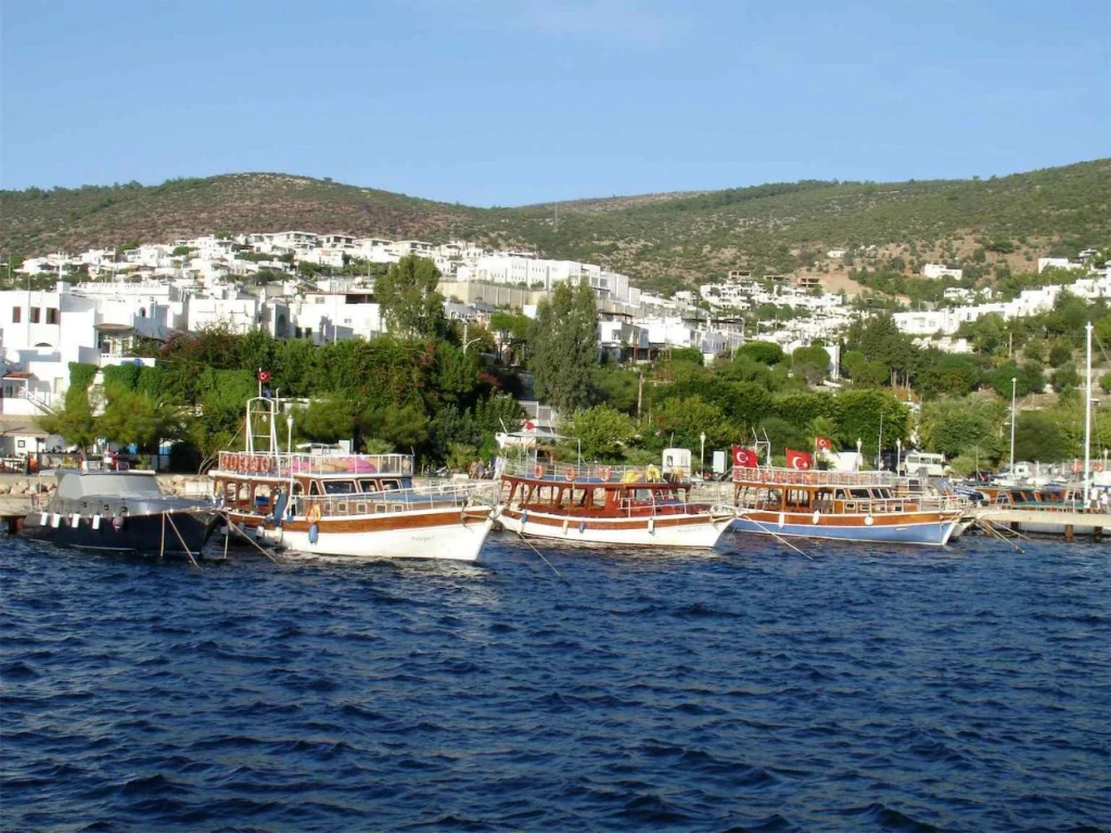 Bodrum Orak Island Boat Tour with Swim Stops & Lunch