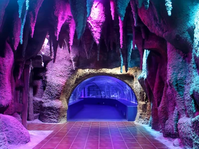 World's Longest Tunnel & Stars: Antalya Aquarium & Face2Face