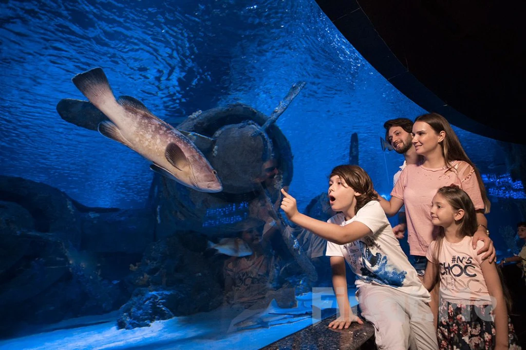 World's Longest Tunnel & Stars: Antalya Aquarium & Face2Face