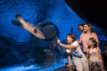 World's Longest Tunnel & Stars: Antalya Aquarium & Face2Face