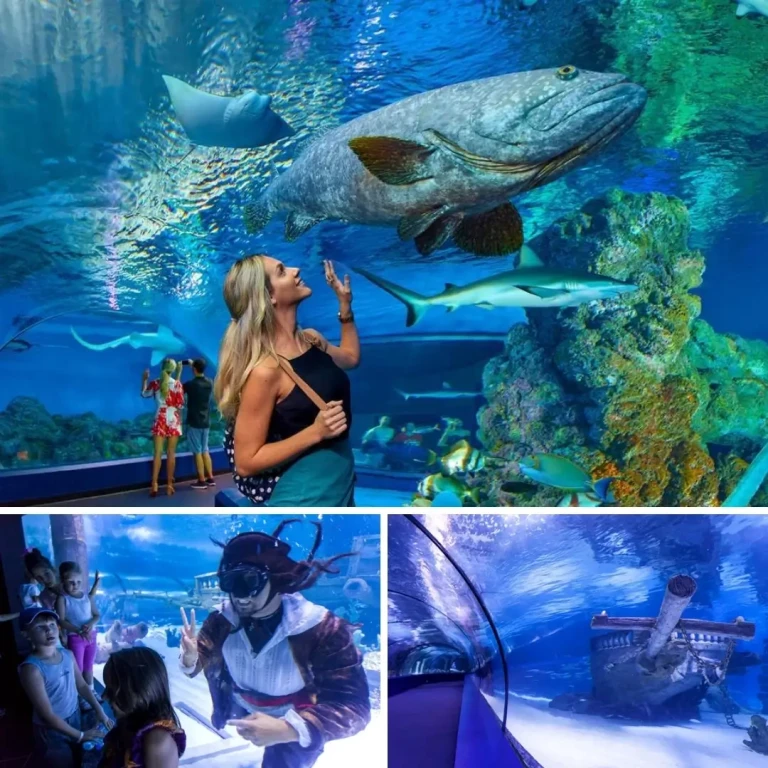 World's Longest Tunnel & Stars: Antalya Aquarium & Face2Face