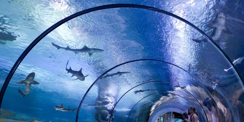 World's Longest Tunnel & Stars: Antalya Aquarium & Face2Face