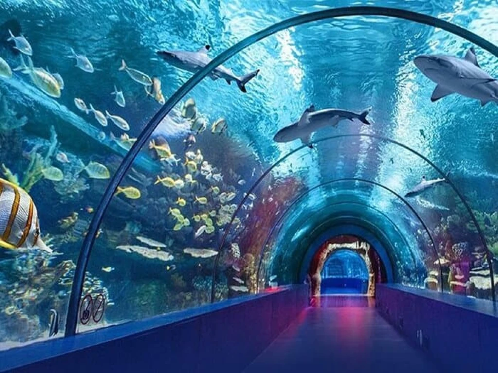 World's Longest Tunnel & Stars: Antalya Aquarium & Face2Face