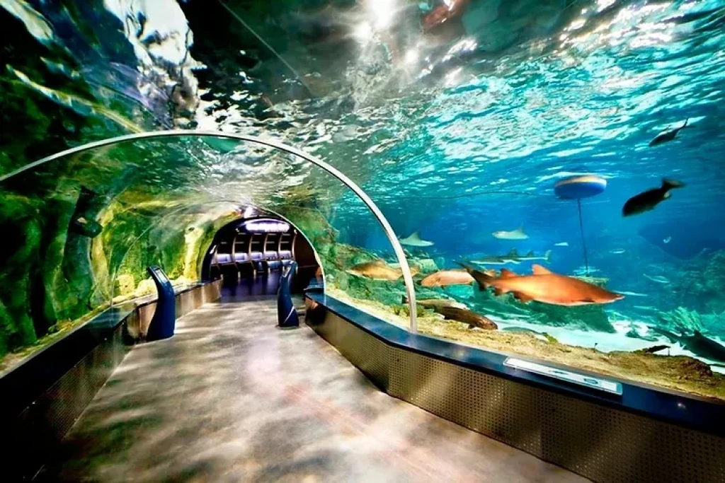 World's Longest Tunnel & Stars: Antalya Aquarium & Face2Face