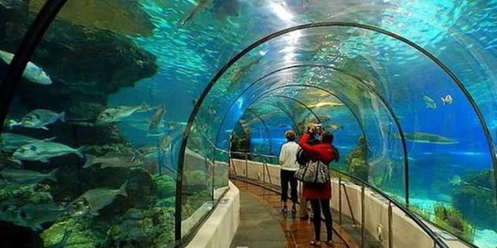 World's Longest Tunnel & Stars: Antalya Aquarium & Face2Face