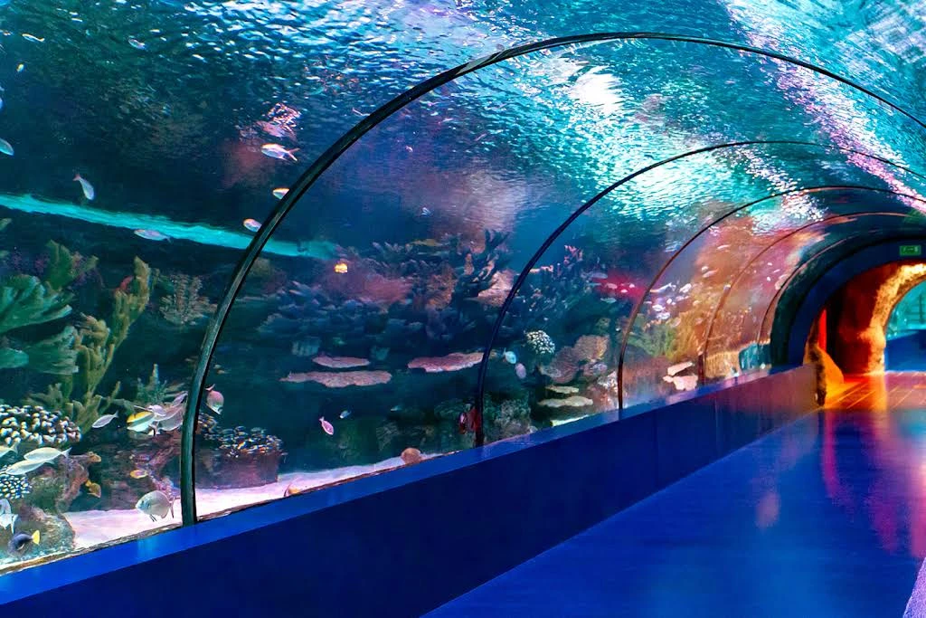 World's Longest Tunnel & Stars: Antalya Aquarium & Face2Face