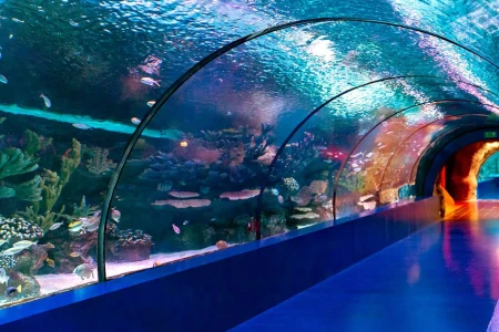 World's Longest Tunnel & Stars: Antalya Aquarium & Face2Face