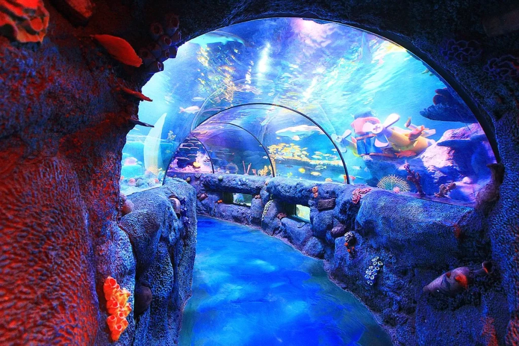 World's Longest Tunnel & Stars: Antalya Aquarium & Face2Face