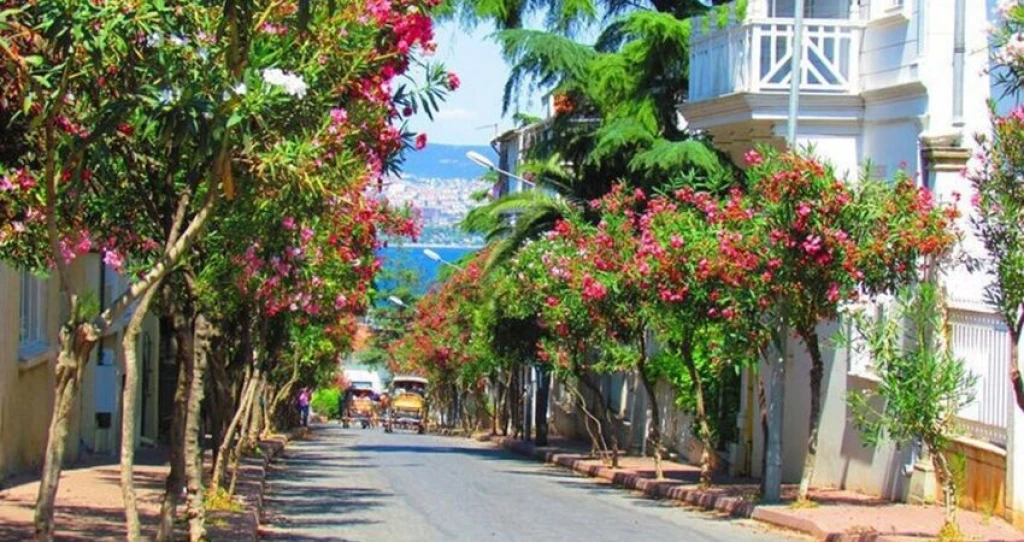 Day Trip by Private Boat to the Istanbul Islands (Büyükada-Heybeliada) and Eminönü Tour on 8 August 2026