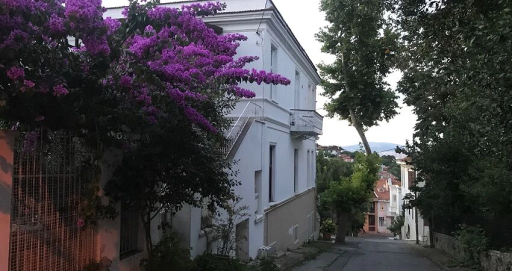 Day Trip by Private Boat to the Istanbul Islands (Büyükada-Heybeliada) and Eminönü Tour on 8 August 2026