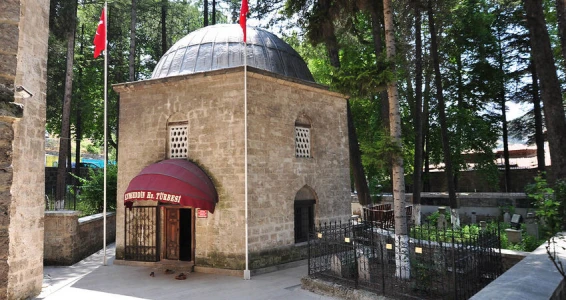 YEDİGÖLLER ABANT GÖYNÜK TARAKLI TURU 14-15 KASIM 2026