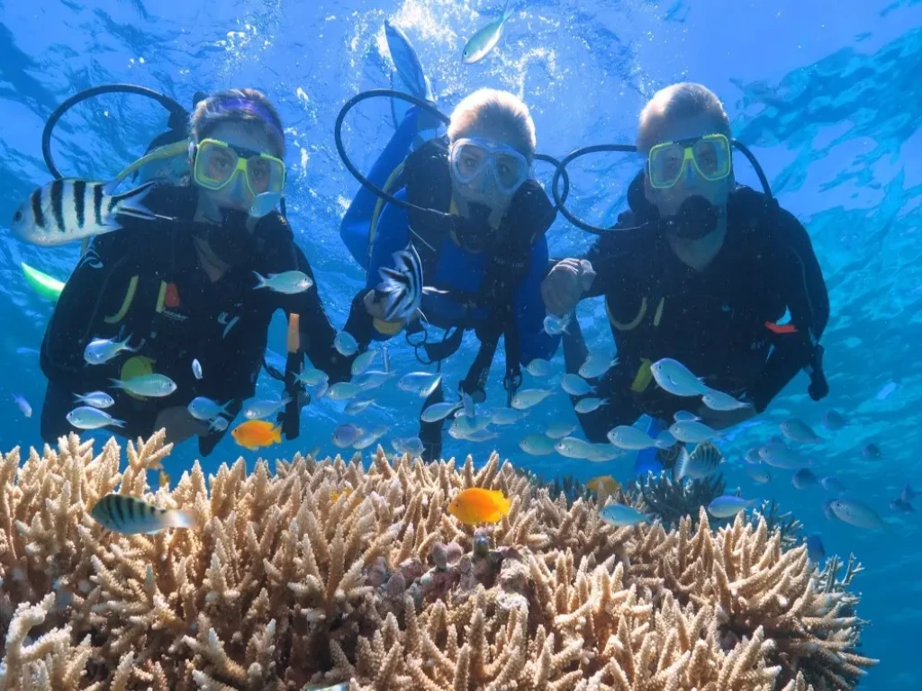 Antalya Scuba Diving Tour with Lunch, 2 Dives & Pickup