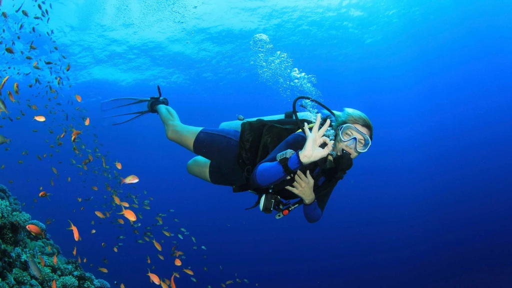Antalya Scuba Diving Tour with Lunch, 2 Dives & Pickup