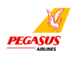 Pegasus