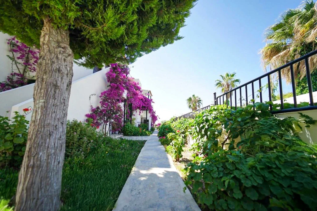 Salinas Beach Otel Bodrum (Bursa Çıkışlı Tatil Turu)