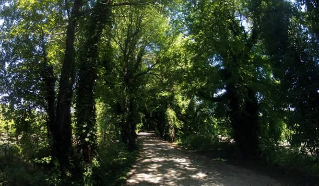 Jeep Safari: Yuvarlakçay & Köyceğiz Lake Tour from Dalyan