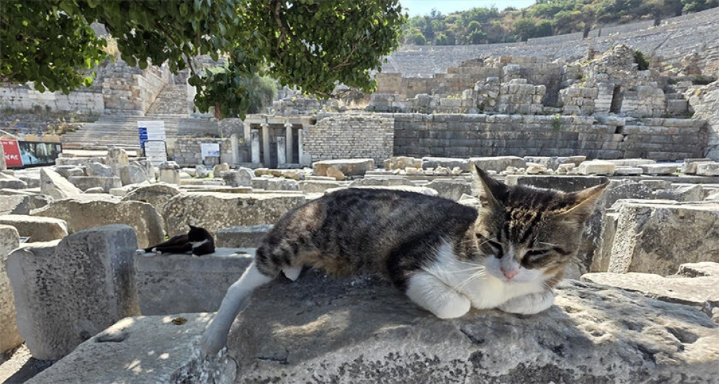 2 Days Ephesus and Pamukkale Tour