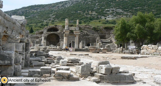7. Private Groups, Ephesus & Sirince Village Tour  from Kusadasi Port/Hotels