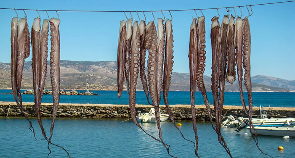 8 Mart Dünya Kadınlar Gününe Özel- Sakız adası Turu