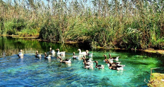 Dalyan, İztuzu Plajı ve Yuvarlakçay Turu