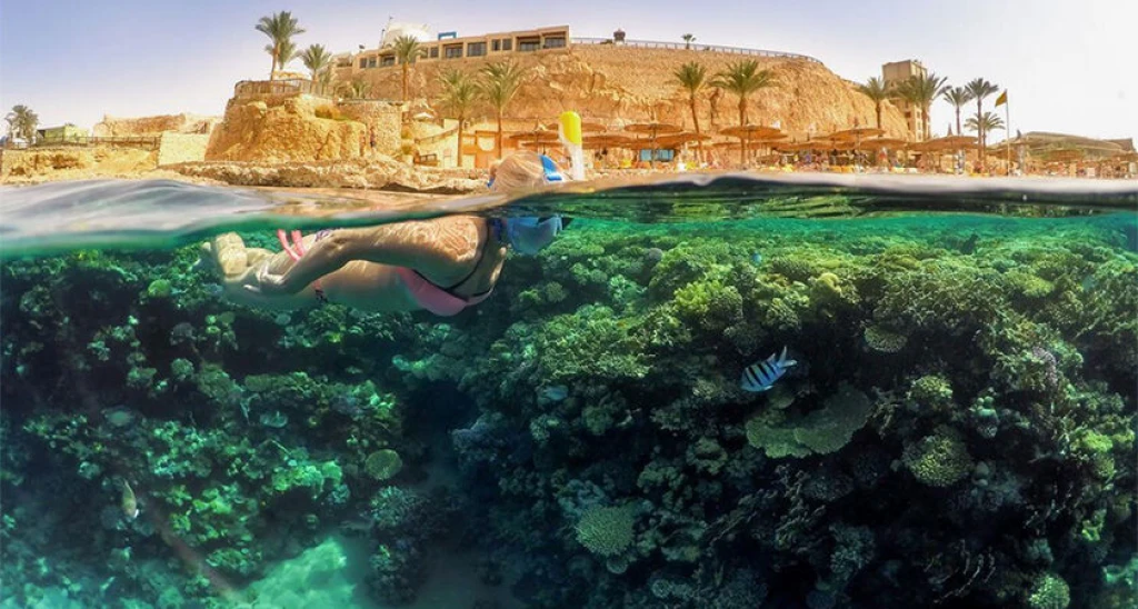 İzmir Hareketli Sunexpress İle Sharm El Sheıkh Turu 4 Gece