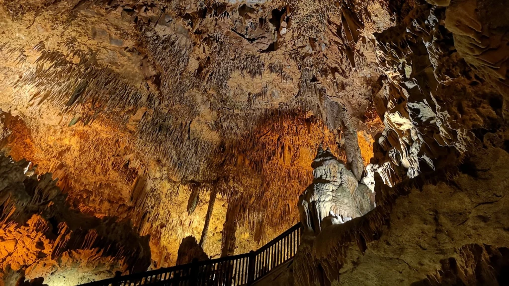 Alanya Bus Tour with Damlatas Cave & Boat Trip from Side