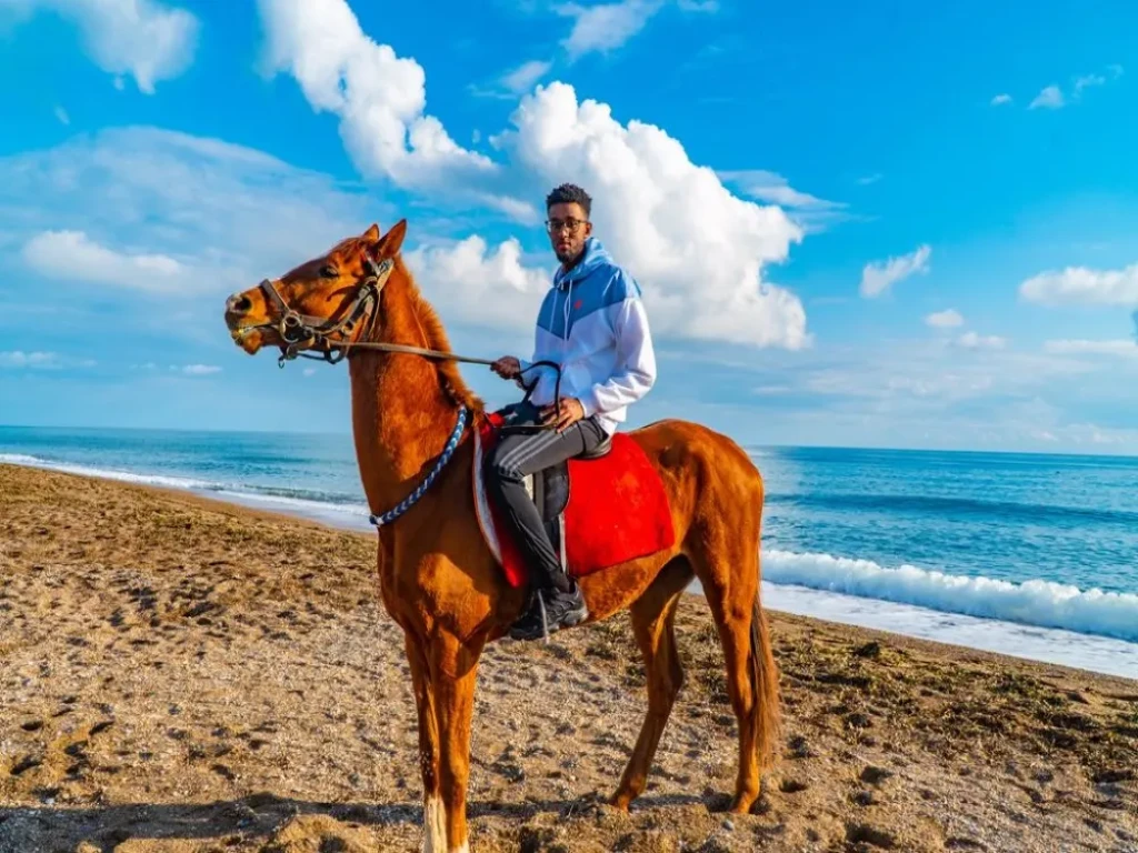 Side Horse Safari: From Pine Forest to the Sea