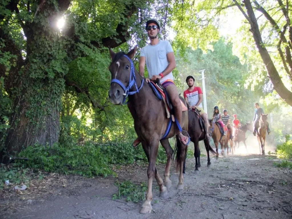 Side Horse Safari: From Pine Forest to the Sea