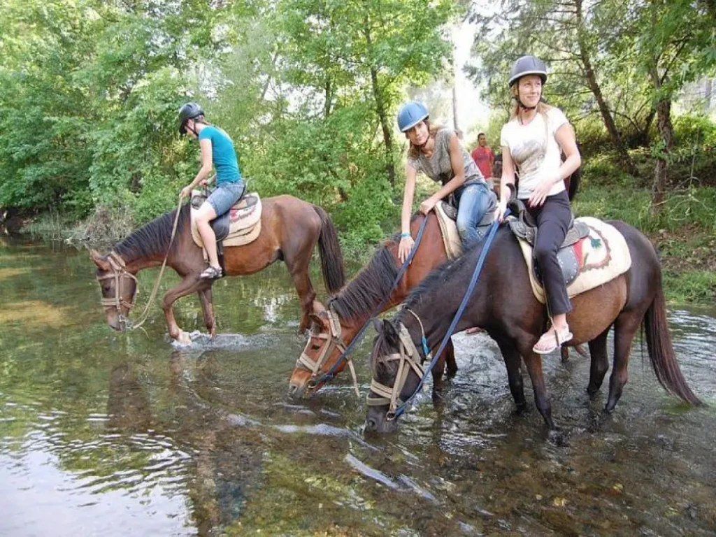 Side Horse Safari: From Pine Forest to the Sea