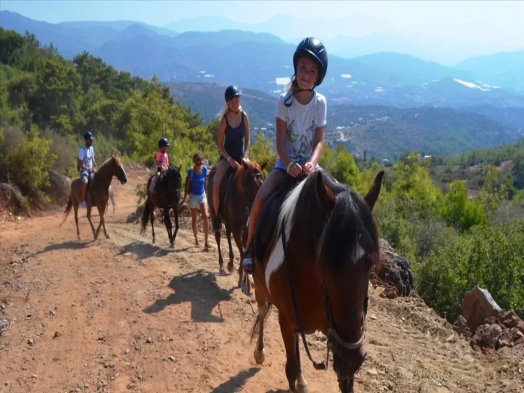 Side Horse Safari: From Pine Forest to the Sea