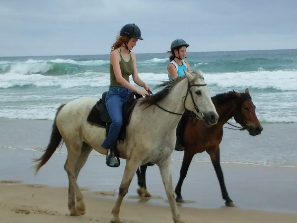 Side Horse Safari: From Pine Forest to the Sea