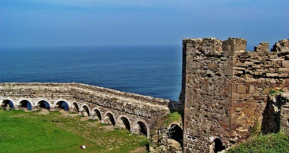 Aydın Çıkışlı  Safran Çiçeği Hasadı Abant Safranbolu Amasra Turu