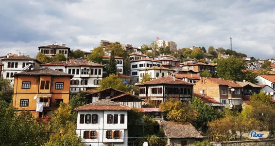 Aydın Çıkışlı  Safran Çiçeği Hasadı Abant Safranbolu Amasra Turu
