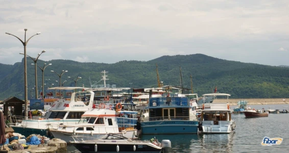 Aydın Çıkışlı  Safran Çiçeği Hasadı Abant Safranbolu Amasra Turu