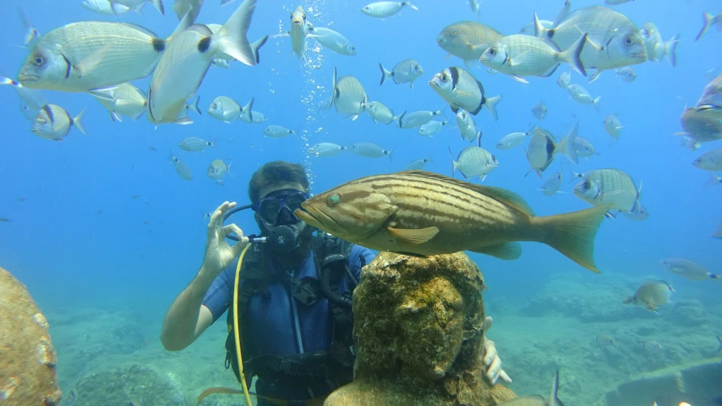 Side Scuba Diving: Underwater Museum Experience