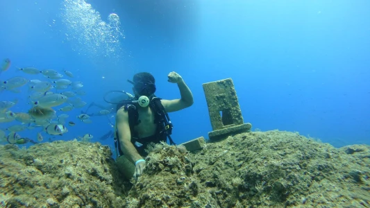Side Scuba Diving: Underwater Museum Experience