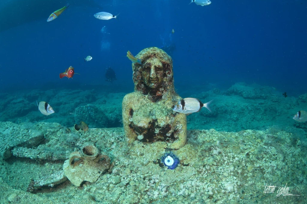 Side Scuba Diving: Underwater Museum Experience