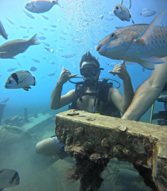 Side Scuba Diving: Underwater Museum Experience