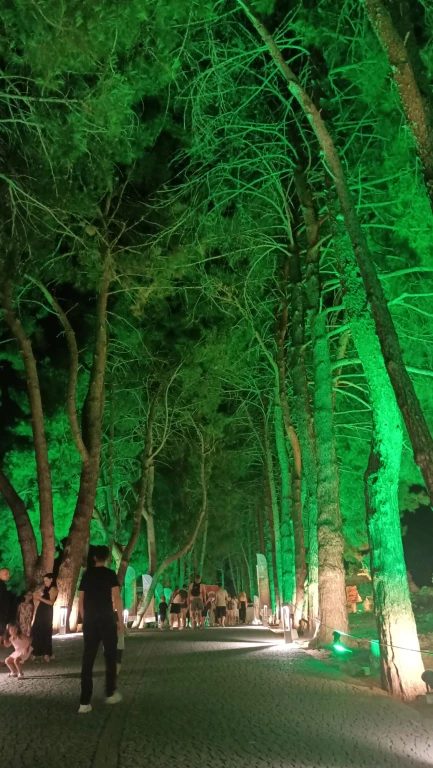 Efes Gece Müzeciliği Turu