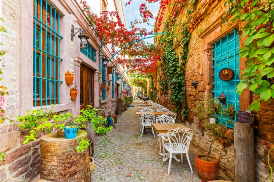Aydın Çıkışlı Kazdağları Ayvalık Cunda Turu