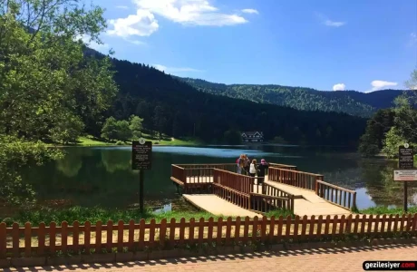 Günübirlik Abant Gölcük Gölü Turu