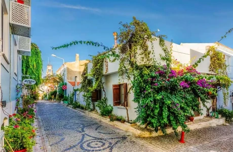 Bozcaada Assos Ayvalık Cunda Turu / 1 Gece Otel Konaklamalı