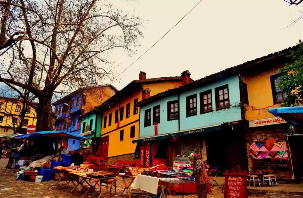 Günübirlik Cumalıkızık Gölyazı Mudanya Misi Köyü Turu
