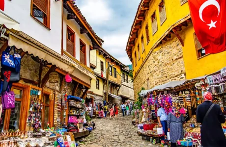 Günübirlik Cumalıkızık Gölyazı Mudanya Misi Köyü Turu