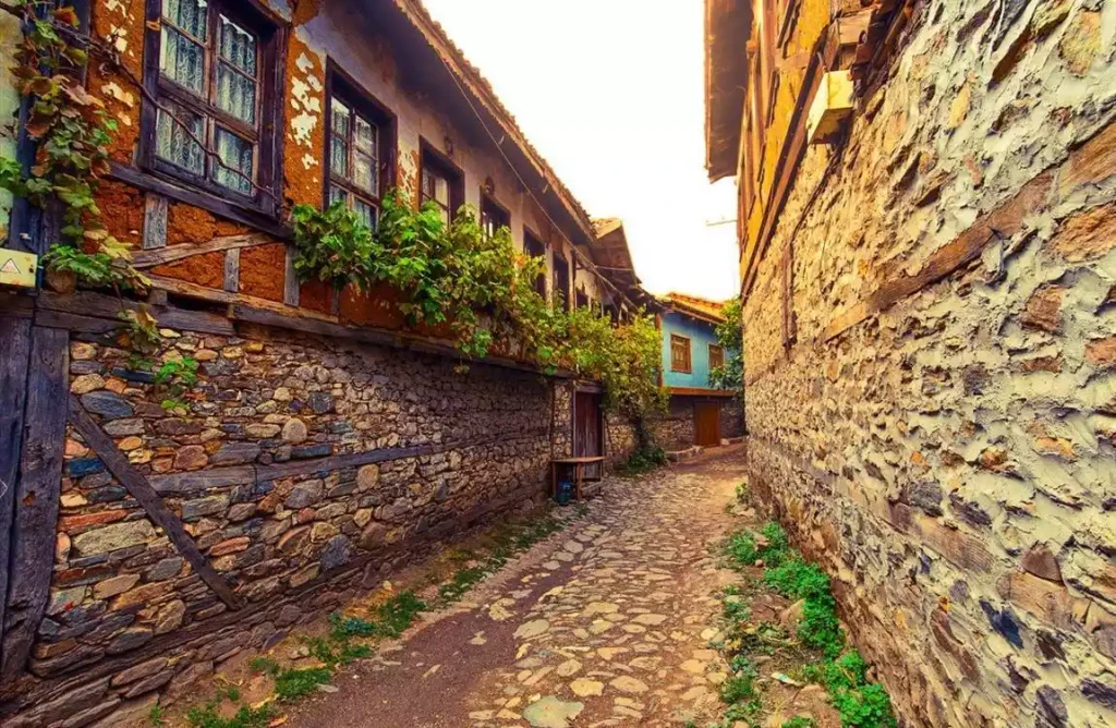 Günübirlik Cumalıkızık Gölyazı Mudanya Misi Köyü Turu