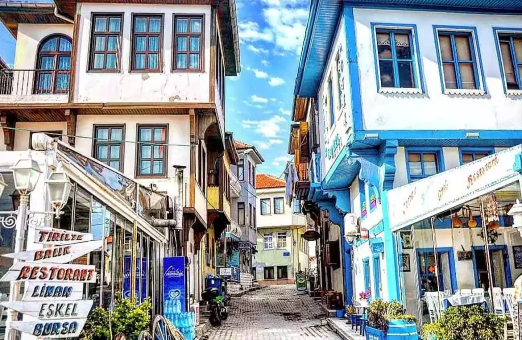 Günübirlik Cumalıkızık Gölyazı Mudanya Misi Köyü Turu