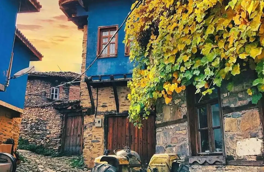 Günübirlik Cumalıkızık Gölyazı Mudanya Misi Köyü Turu
