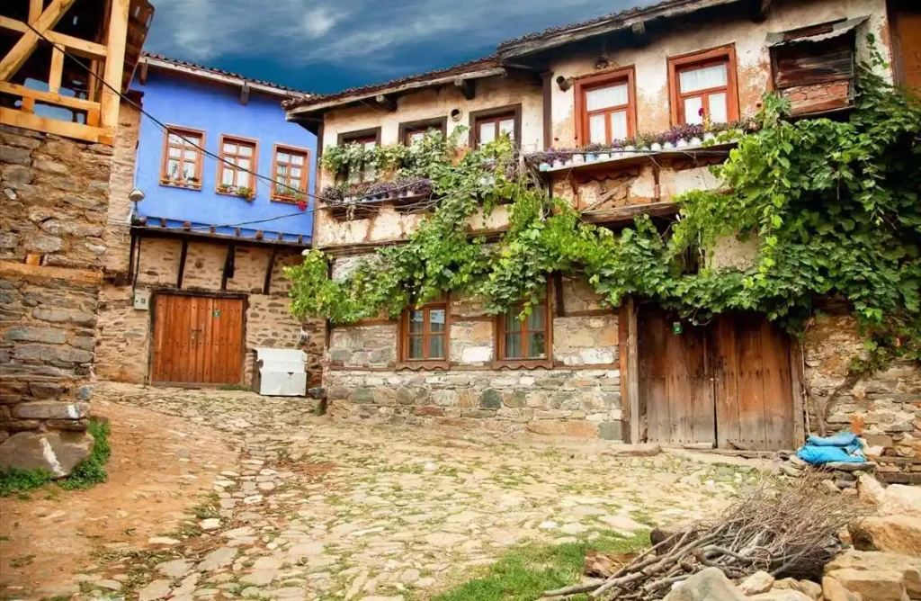 Günübirlik Cumalıkızık Gölyazı Mudanya Misi Köyü Turu