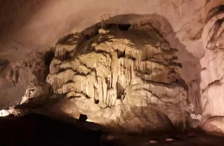 Günübirlik İğneada Dupnisa Mağarası Longoz Ormanları Turu