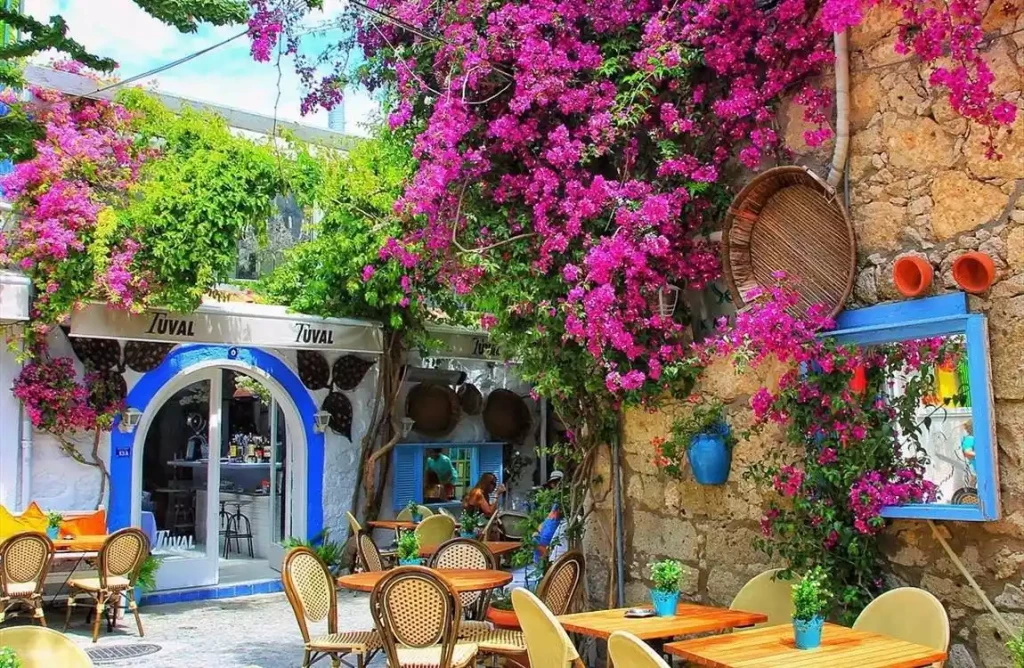 İzmir Çeşme Alaçatı Efes Şirince Turu / 1 Gece Otel Konaklamalı